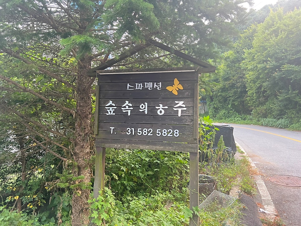 숲속의공주펜션 사진 2