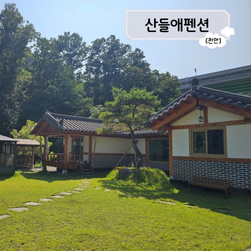사진 4