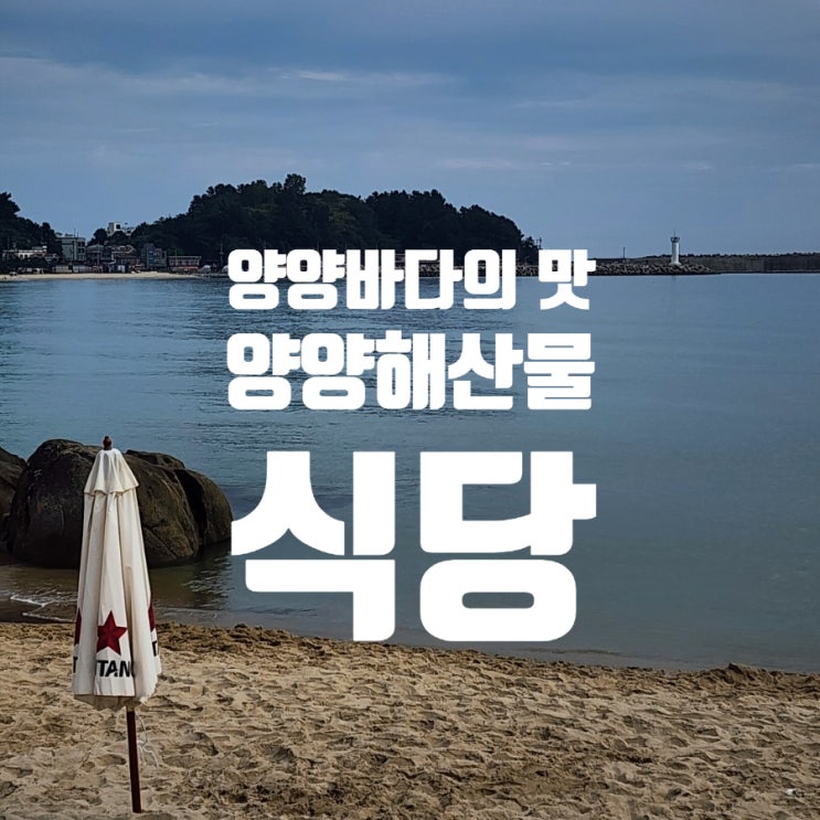  [인구해변맛집] 양양 해산물 맛집 추천 가성비 좋은 회덮밥 포차!