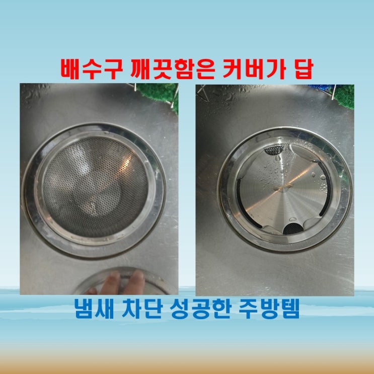  겔리브 스텐 배수구망 커버로 주방 냄새 잡기 완전 성공