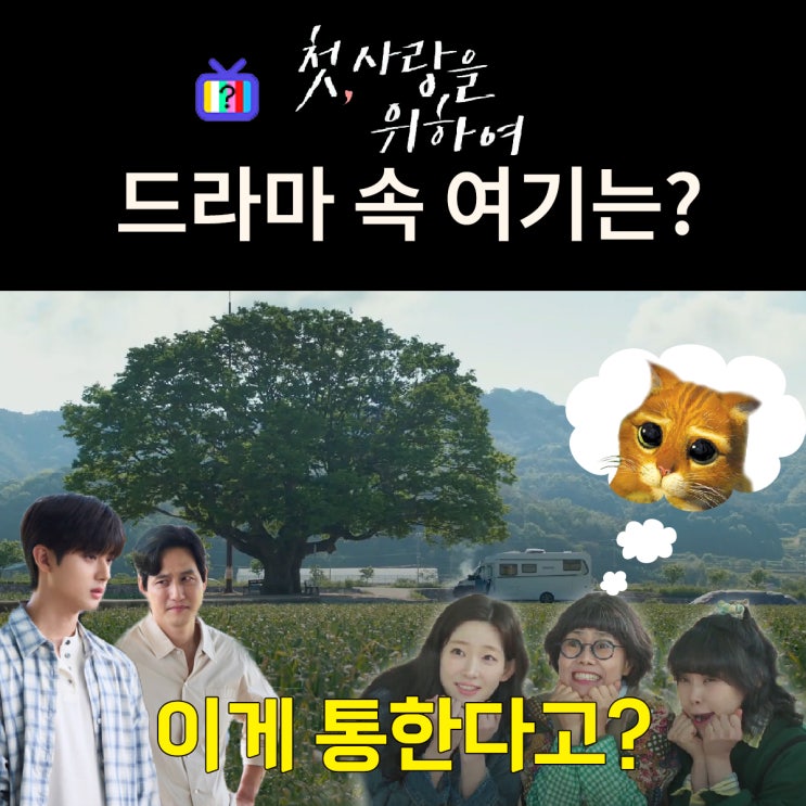  첫사랑을 위하여 촬영지_1화 효리 캠핑카 고장난 청해마을 큰 나무는? 합천 야로 왕느티나무