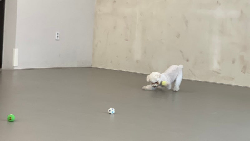 뛰뛰랜드