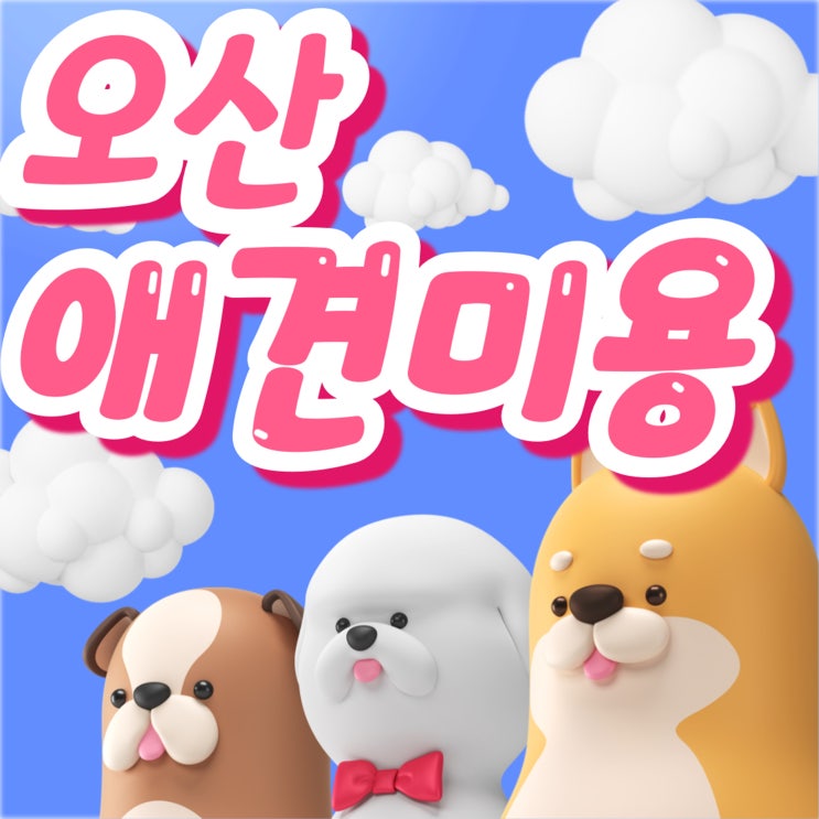 오산애견미용학원 더 높은 월급과 수익창출을 위한 선택