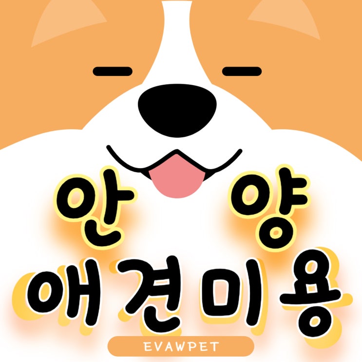 안양애견미용학원 완벽 가이드 - 전문 펫뷰티션 양성과정부터 취업까지