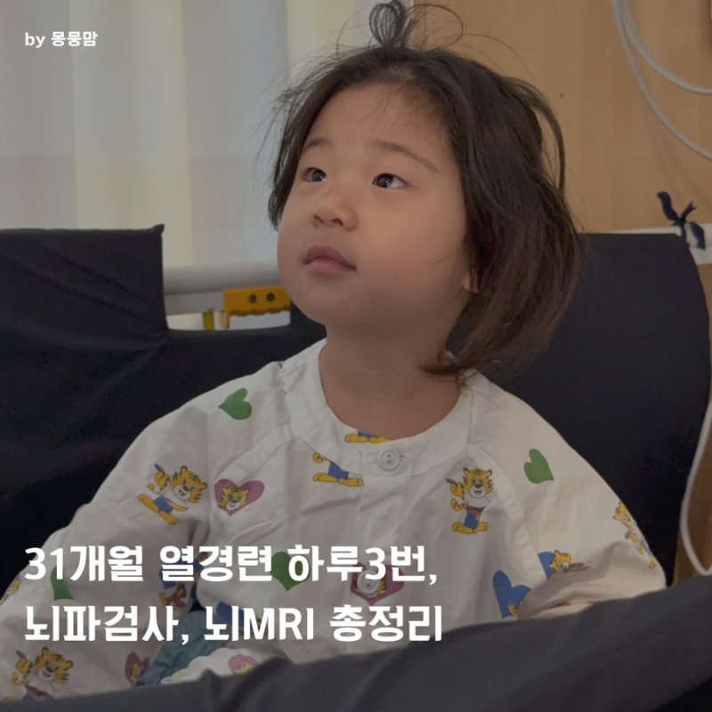 31개월 열경련 하루 3번 뇌파검사, 뇌MRI 총정리