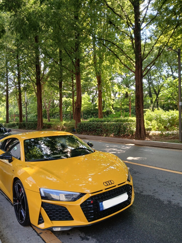  [소닉모터스 도곡센터] R8 V10 Performance 엔진오일 교환