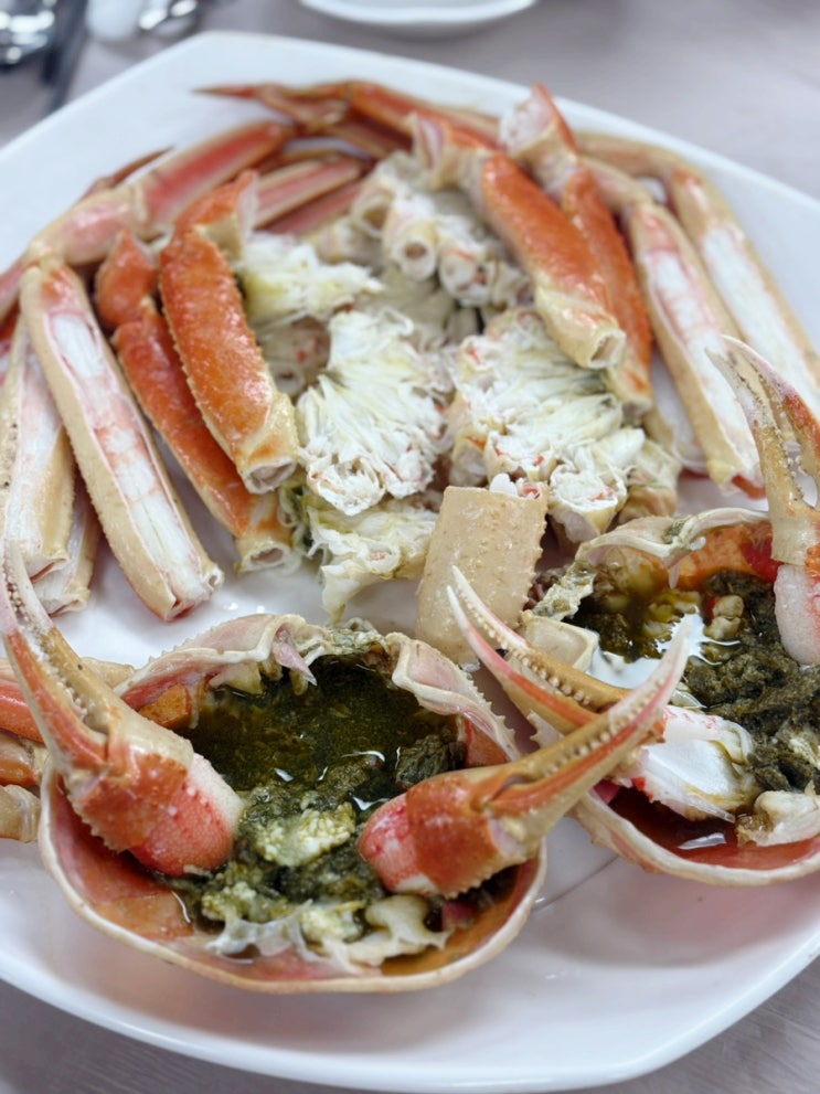  포항 대게 맛집 죽도시장 박달대게 서진이네 수산물