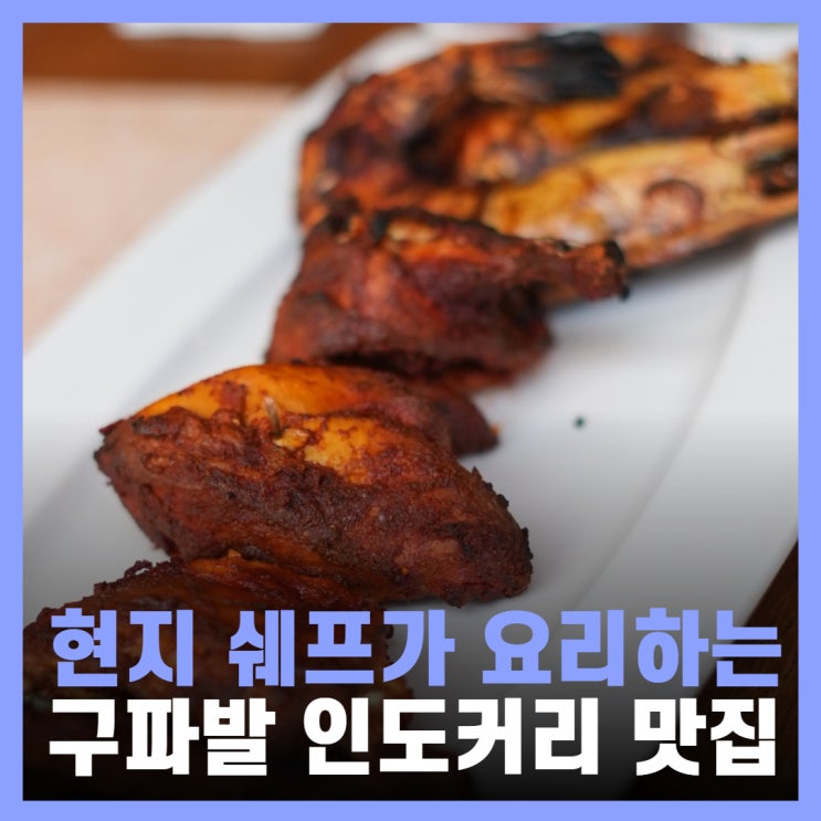  구파발역 맛집 인도 커리 은평 스와가트