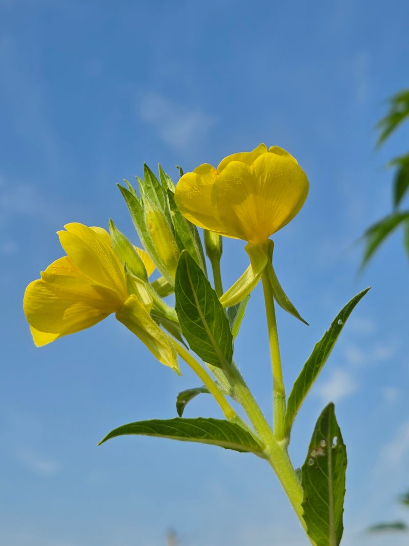 정책지식 2025.8.7. : 네이버 블로그