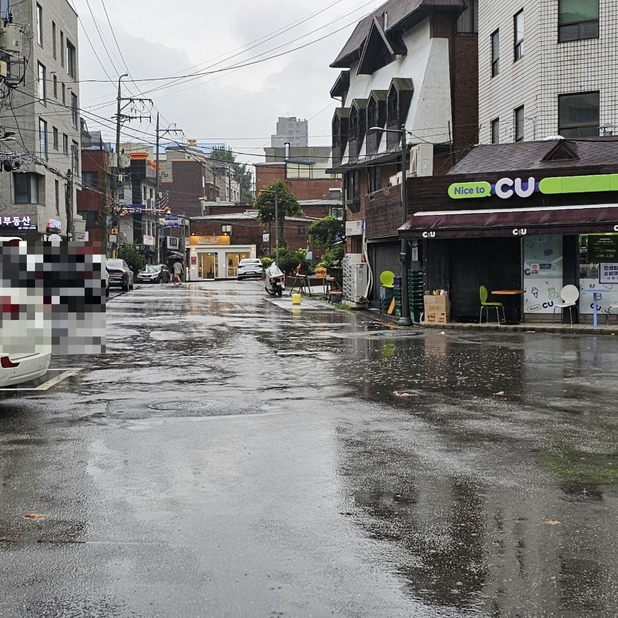 원밀 사진 3