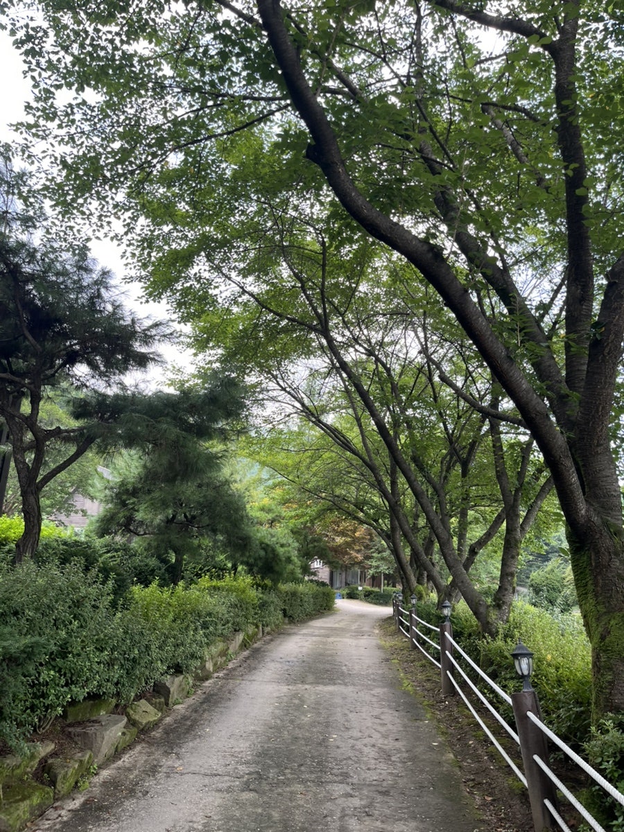 트리밸리펜션 사진 5