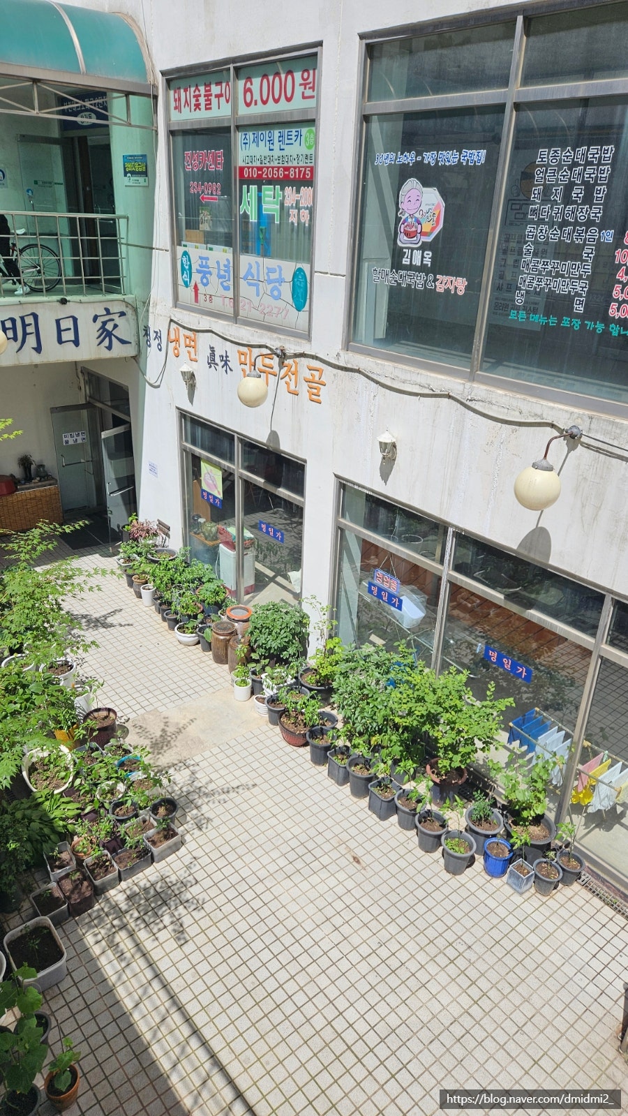 명일가 사진 2