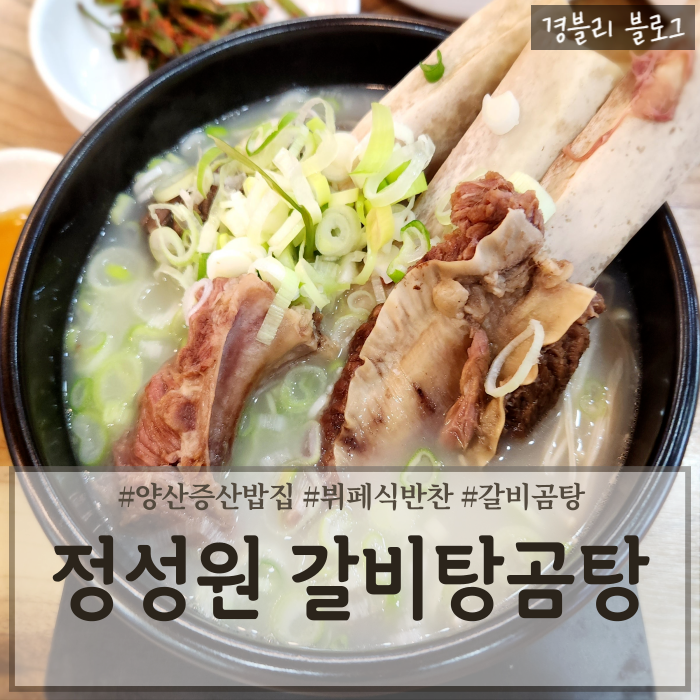  양산증산역밥집 물금갈비곰탕맛집 양산한식추천 내돈내산 후기 '정성원 갈비탕/곰탕'