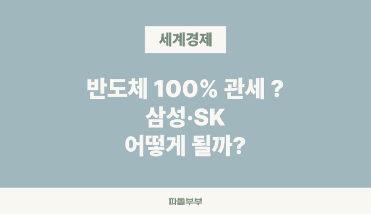  미국내에서 반도체 생산안하면 100% 관세 부과 트럼프 대통령 삼성전자 SK하이닉스 미치는 영향