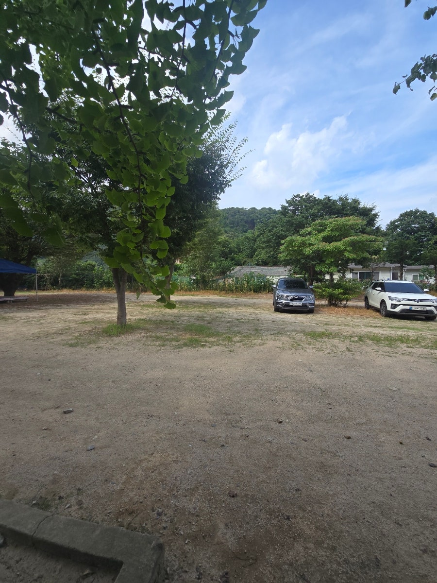 종개비소 사진 2