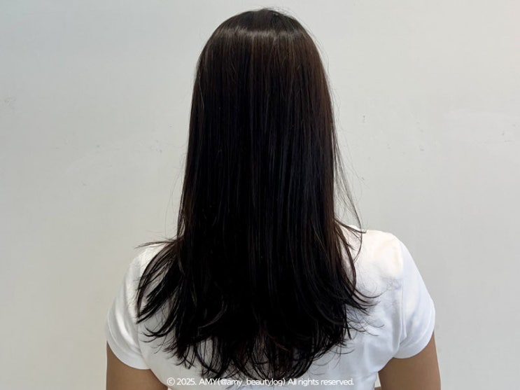  하남미용실 피버블룸 유아디자이너에게 중단발 레이어드컷 한 후기