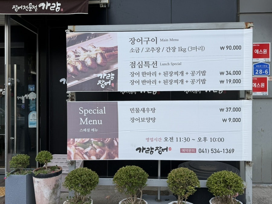 가람장어 사진 3