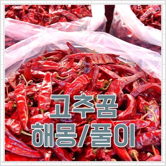 고추꿈 해몽 빨간고추꿈 신기한 풀이