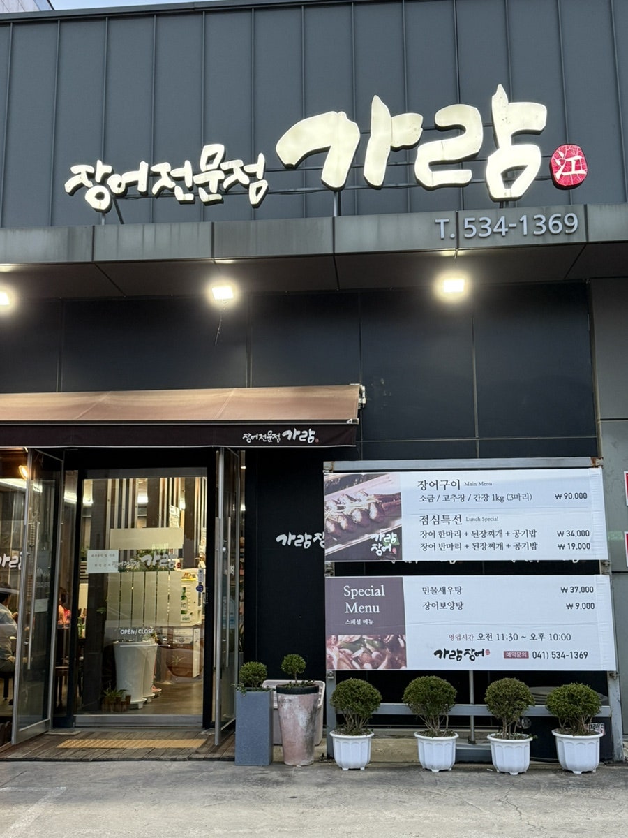 가람장어 사진 2