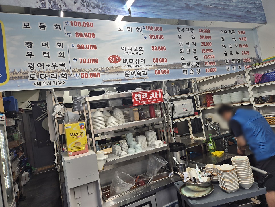 회초록 사진 6
