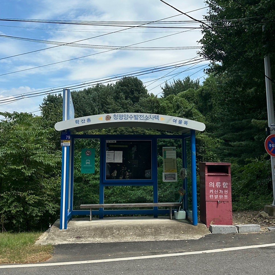 숲속의공주펜션 사진 5