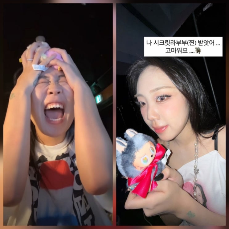 이영지 라부부 근황 쇼미 콘서트 모음