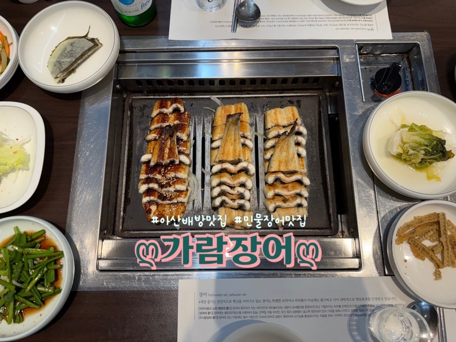 가람장어 사진 1