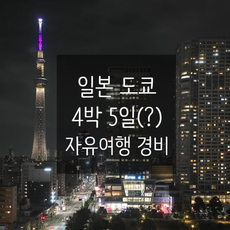  [일본 도쿄 4박 5일(?) 자유여행 - 7] 경비 정리 & 여행을 마무리하며