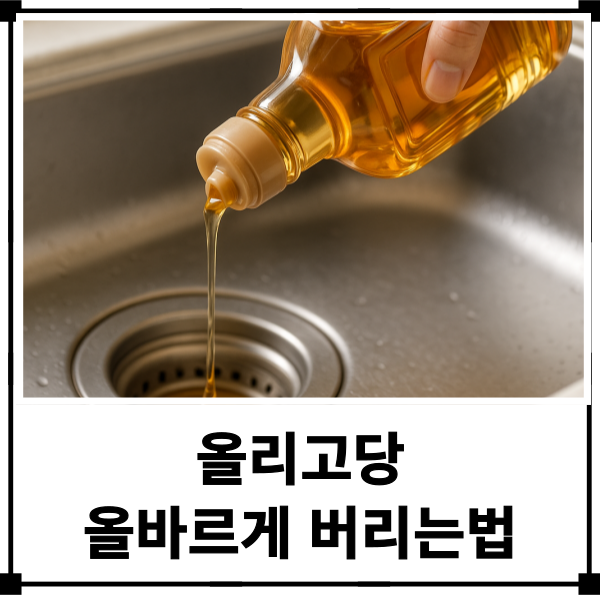 올리고당 버리는법 벌레 꼬이기 싫다면 싱크대로 버리지 마세요