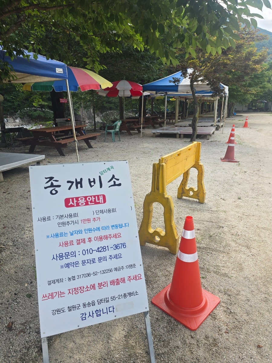 종개비소