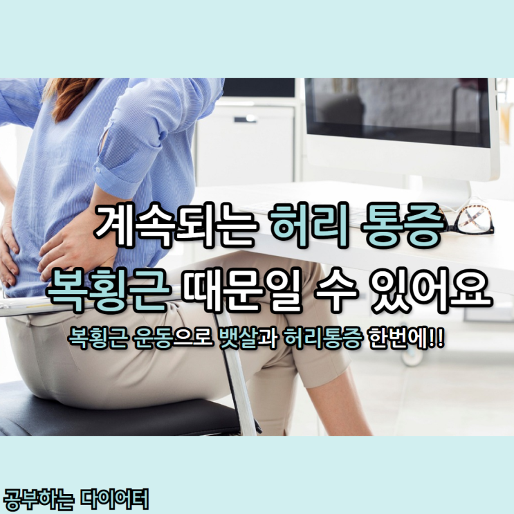  [복횡근 운동] 하나로 허리 통증, 뱃살, 자세까지 바뀝니다