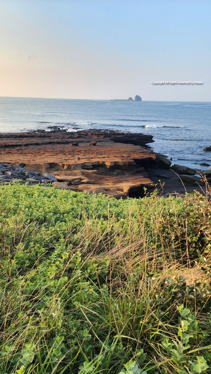 사진 11