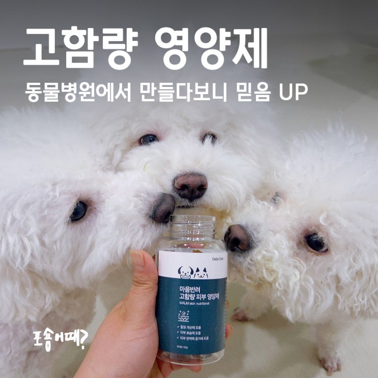  강아지피부영양제 간식처럼 급여하는 마음반려동물병원 고함량영양제 후기