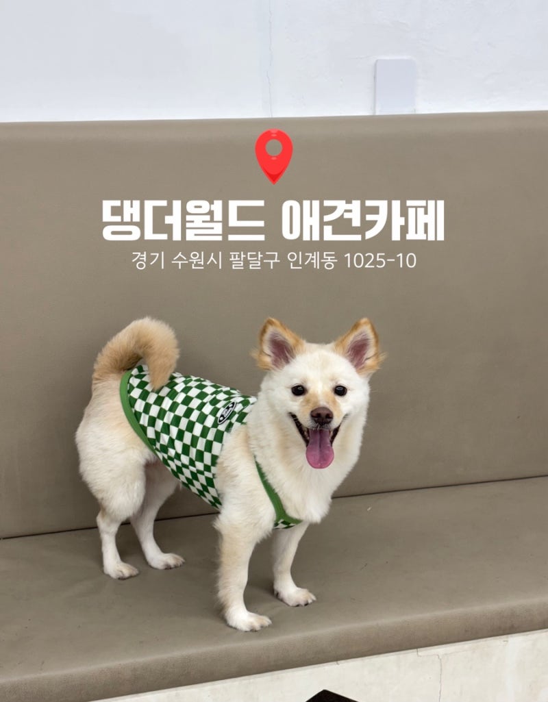 사진 3