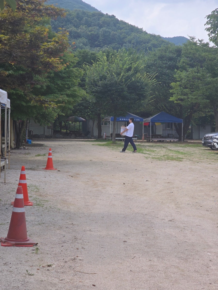 종개비소 사진 3