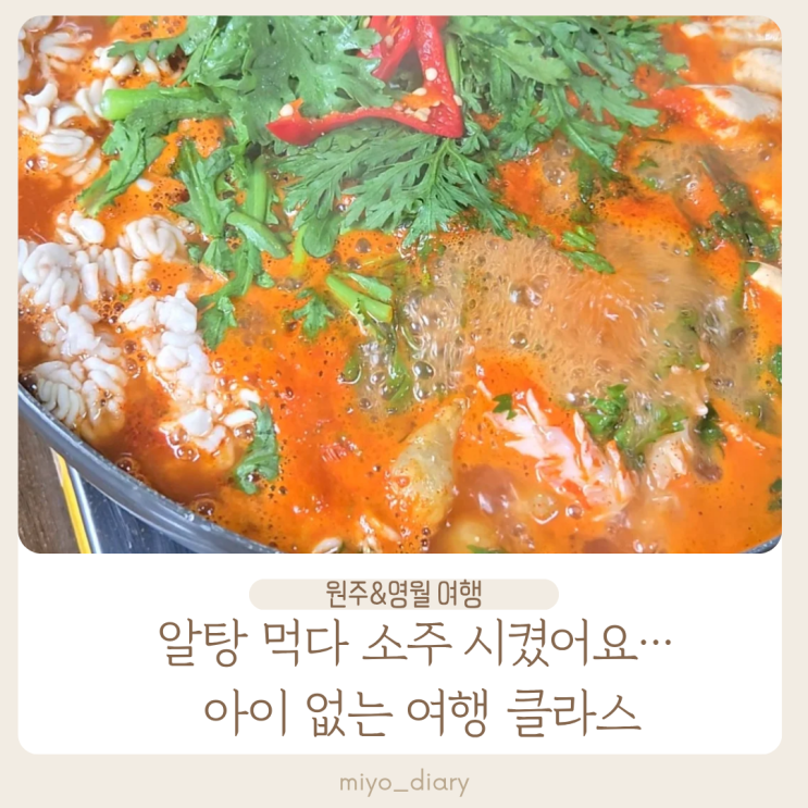 원주 영월 1박2일 여행코스 까치둥지 알탕 소금산 출렁다리 미탄집  총정리!
