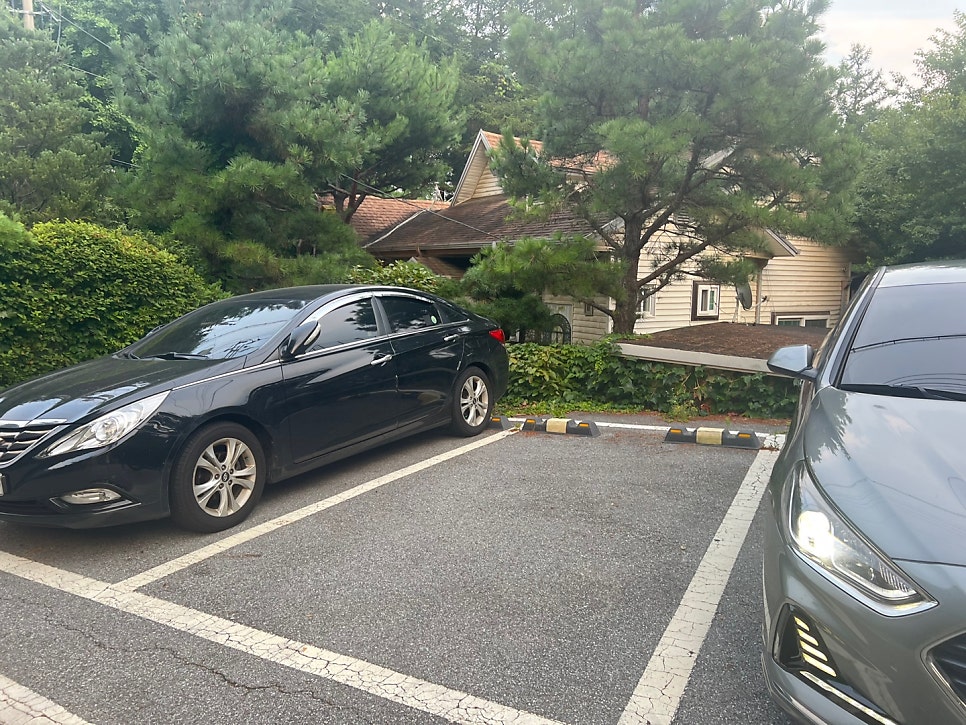 숲속의공주펜션 사진 4