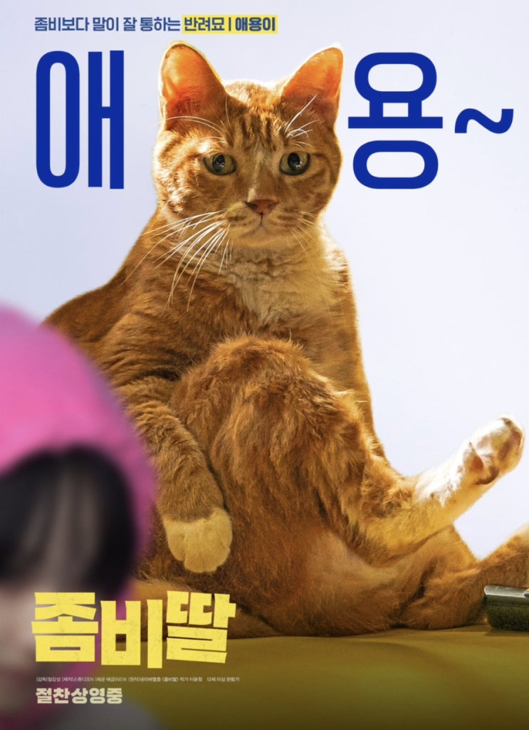 좀비딸 애옹이로보는 코리안숏헤어 치즈태비 고양이의 매력분석