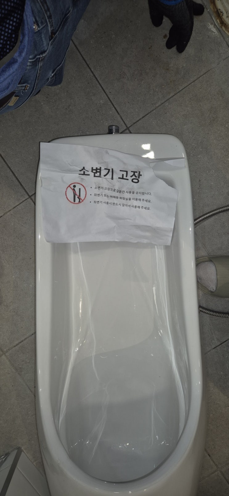  강남구 소변기막힘. 수서 소변기막힘 역류현상