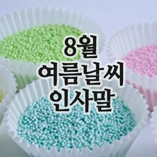  8월 여름 인사말 총정리!여름 날씨 인사말 모음집