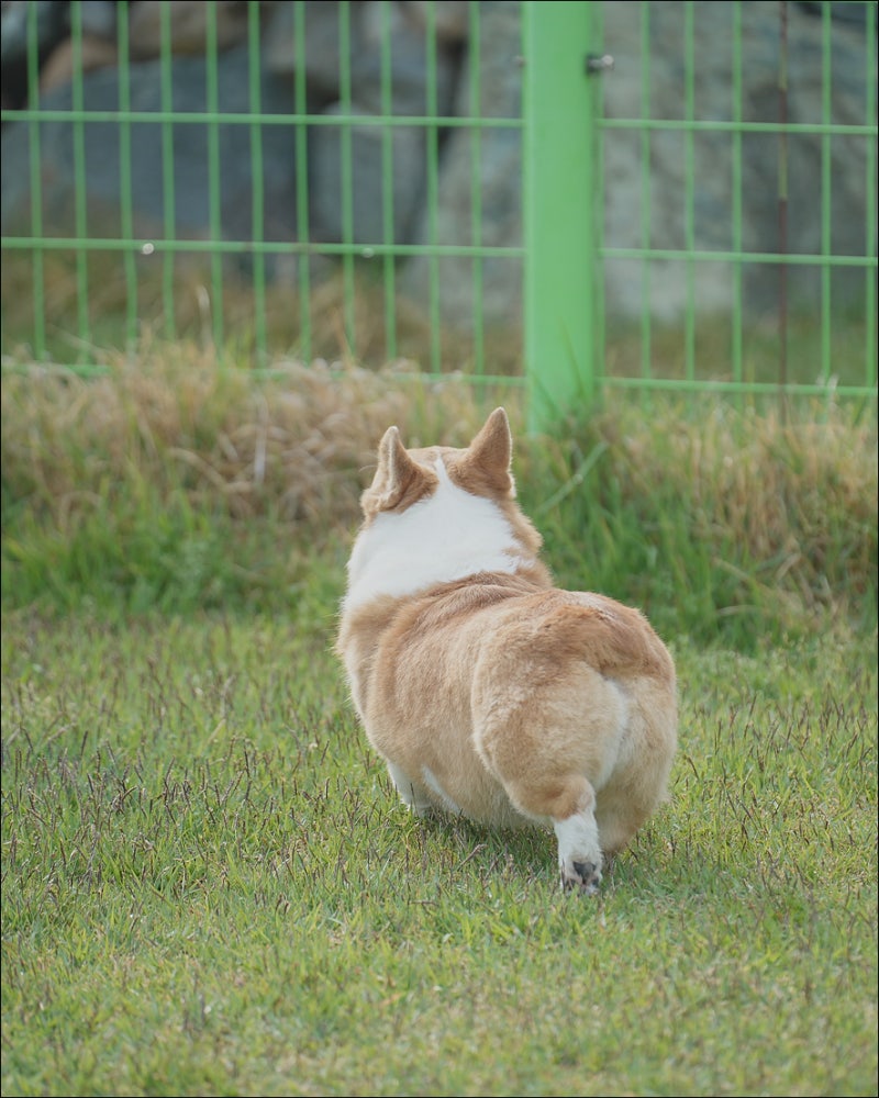 사진 7
