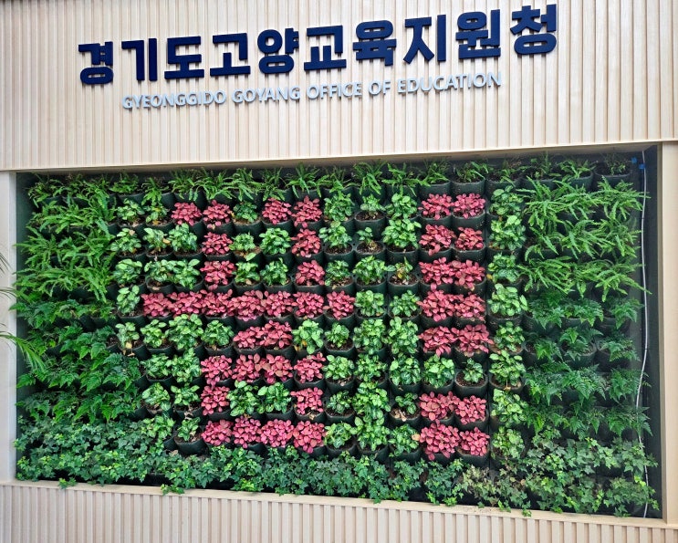  실내 유해 물질 안녕 꽃집지기가 전하는 수직정원 이야기