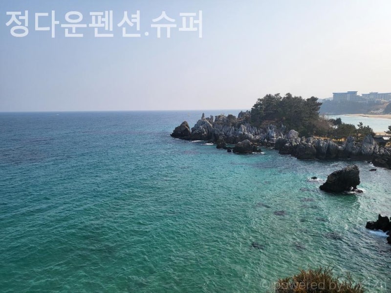 사진 4