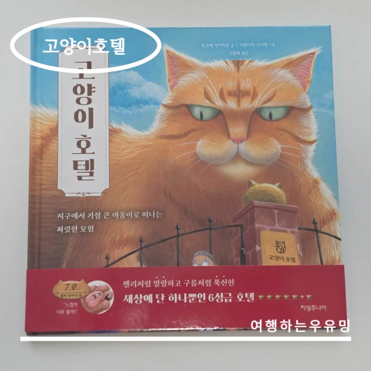  고양이를 좋아하는 두찌에게 딱! 상상력 자극 그림책 고양이 호텔