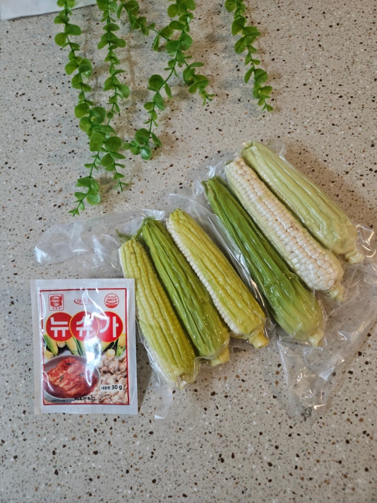 [정선별곡 강원도 정선 찰옥수수] 국산 냉동 산지직송으로 더욱 맛있는 정선옥수수