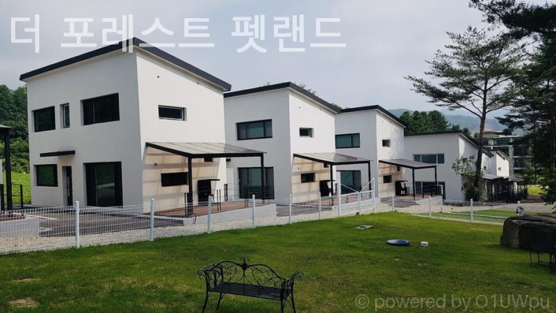 사진 10