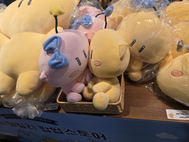  대전 교보문고 꿈돌이 꿈순이 커플 인형 선물용으로 강력 추천!