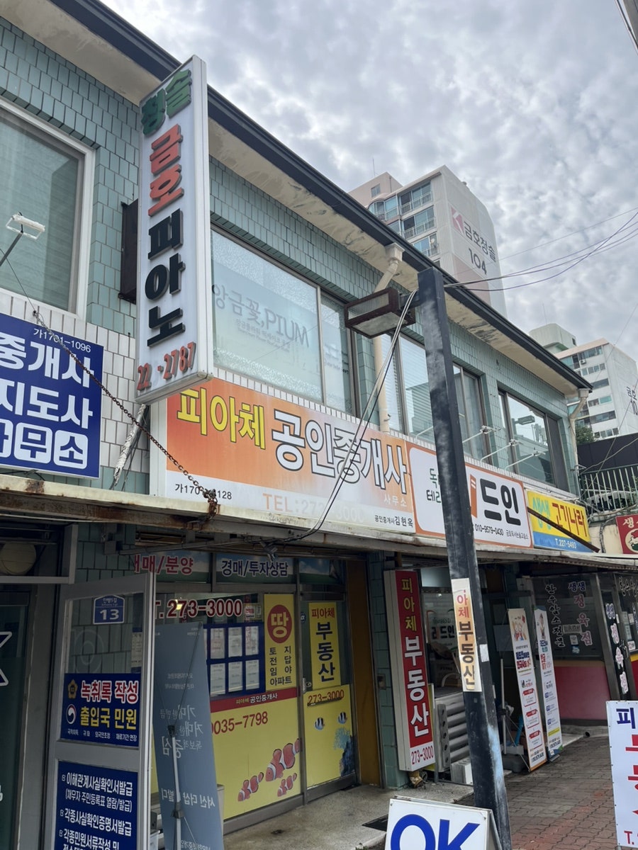 앙금꽃피움 사진 5