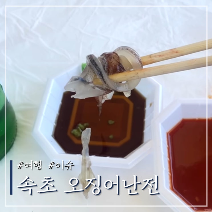 <b>속초 오징어난전 불친절 논란</b> 유튜버 안타깝네요..