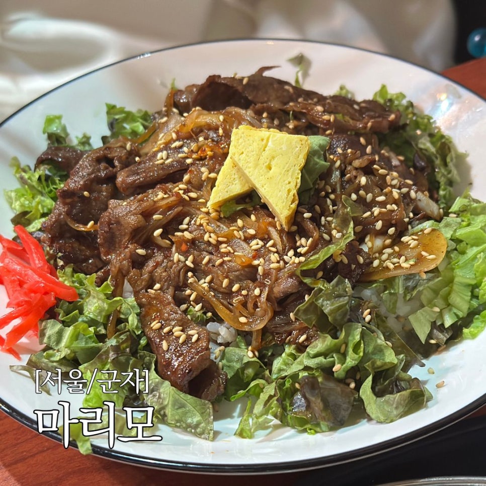 마리모 사진 1